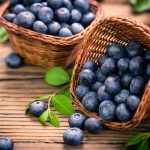 Nutrition Small