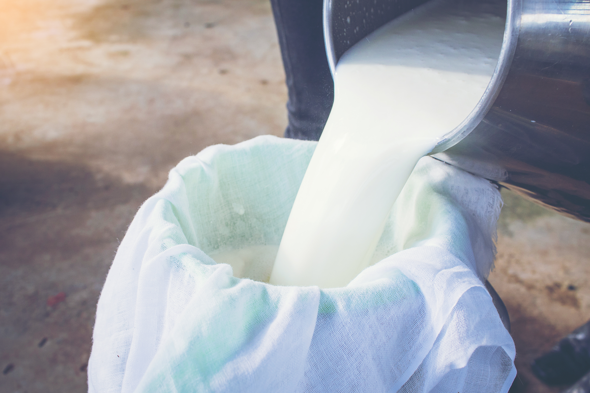 3-Incredible-Benefits-of-Full-Fat-Dairy.jpg