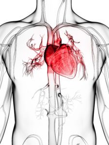 Heart Sound Recorder Page